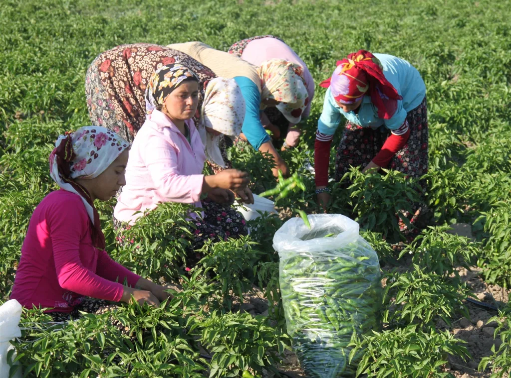 Kadın Çiftçiler